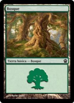 2013 Magic the Gathering Theros Spanish #249 Bosque Front