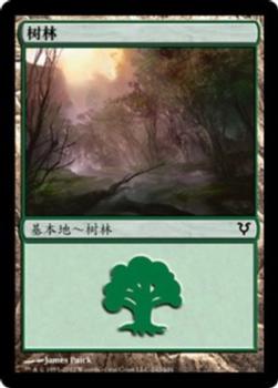 2012 Magic the Gathering Avacyn Restored Chinese Simplified #242 树林 Front