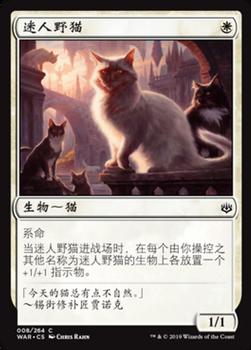 2019 Magic the Gathering War of the Spark Chinese Simplified #8 迷人野猫 Front