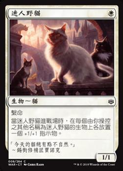2019 Magic the Gathering War of the Spark Chinese Traditional #8 迷人野貓 Front