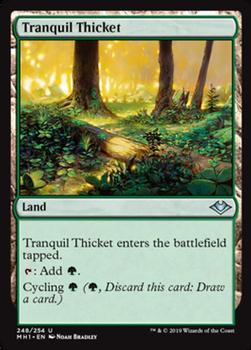2019 Magic the Gathering Modern Horizons #248 Tranquil Thicket Front