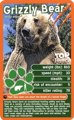 2019 Top Trumps Hunters #NNO Grizzly Bear Front