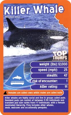 2019 Top Trumps Hunters #NNO Killer Whale Front