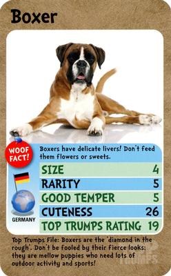 2019 Top Trumps Pooches #NNO Boxer Front