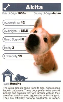 2005 Top Trumps The Dog Artlist Collection #NNO Akita Front