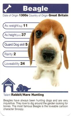 2005 Top Trumps The Dog Artlist Collection #NNO Beagle Front
