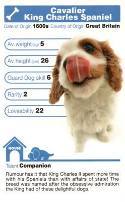2005 Top Trumps The Dog Artlist Collection #NNO Cavalier King Charles Spaniel Front