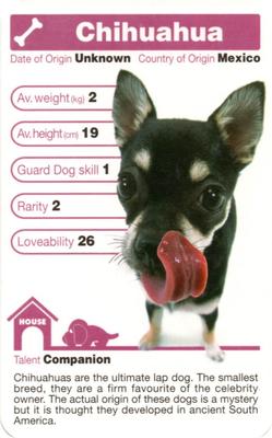 2005 Top Trumps The Dog Artlist Collection #NNO Chihuahua Front