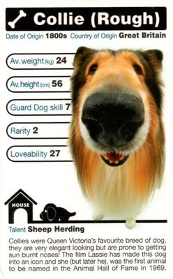 2005 Top Trumps The Dog Artlist Collection #NNO Colllie (Rough) Front