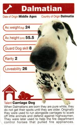 2005 Top Trumps The Dog Artlist Collection #NNO Dalmatian Front