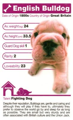 2005 Top Trumps The Dog Artlist Collection #NNO English Bulldog Front