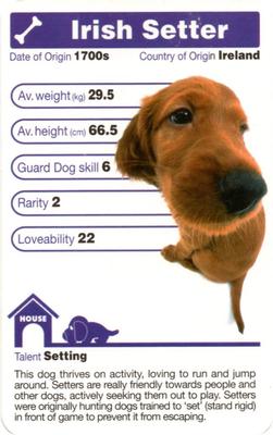 2005 Top Trumps The Dog Artlist Collection #NNO Irish Setter Front