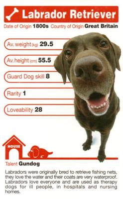 2005 Top Trumps The Dog Artlist Collection #NNO Labrador Retriever Front
