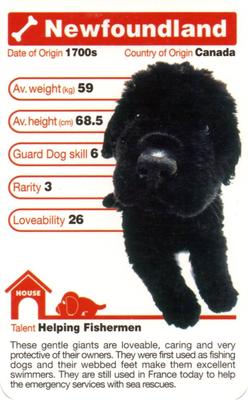 2005 Top Trumps The Dog Artlist Collection #NNO Newfoundland Front