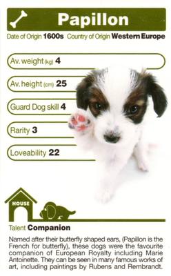2005 Top Trumps The Dog Artlist Collection #NNO Papillon Front
