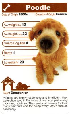 2005 Top Trumps The Dog Artlist Collection #NNO Poodle Front