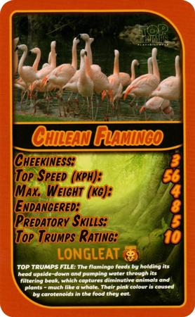 2017 Top Trumps Longleat #NNO Chilean Flamingo Front