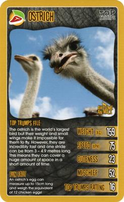 2020 Top Trumps Awesome Animals #NNO Ostrich Front