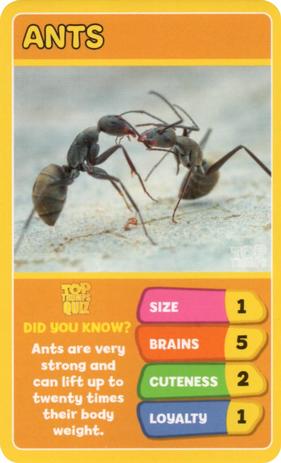 2020 Top Trumps Favourite Pets #NNO Ants Front