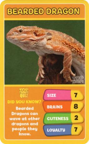 2020 Top Trumps Favourite Pets #NNO Bearded Dragon Front