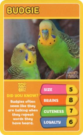 2020 Top Trumps Favourite Pets #NNO Budgie Front