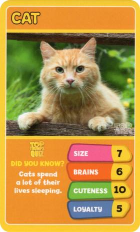 2020 Top Trumps Favourite Pets #NNO Cat Front