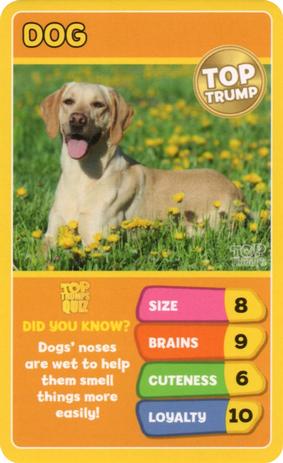 2020 Top Trumps Favourite Pets #NNO Dog Front