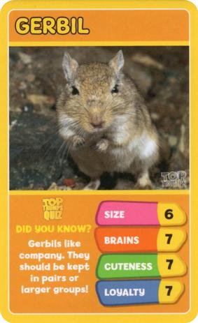 2020 Top Trumps Favourite Pets #NNO Gerbil Front