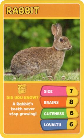 2020 Top Trumps Favourite Pets #NNO Rabbit Front