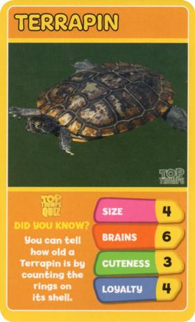 2020 Top Trumps Favourite Pets #NNO Terrapin Front