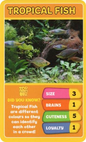 2020 Top Trumps Favourite Pets #NNO Tropical Fish Front