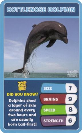 2020 Top Trumps Under The Sea #NNO Bottlenose Dolphin Front