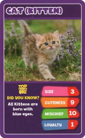2020 Top Trumps Baby Animals #NNO Cat (Kitten) Front