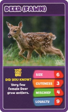 2020 Top Trumps Baby Animals #NNO Deer (Fawn) Front