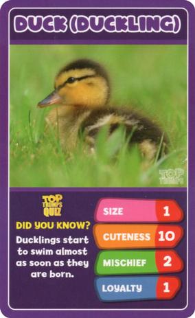 2020 Top Trumps Baby Animals #NNO Duck (Duckling) Front