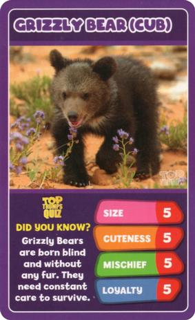 2020 Top Trumps Baby Animals #NNO Grizzly Bear (Cub) Front