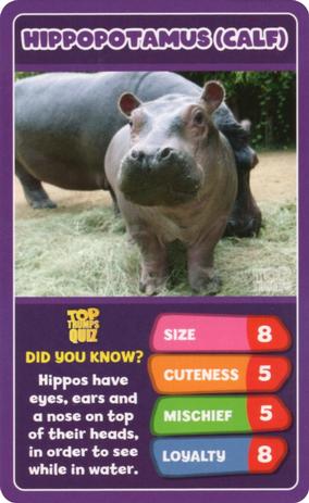 2020 Top Trumps Baby Animals #NNO Hippopotamus (Calf) Front