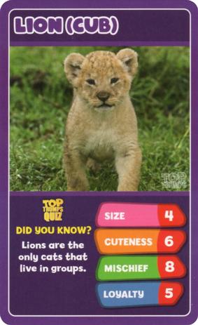 2020 Top Trumps Baby Animals #NNO Lion (Cub) Front