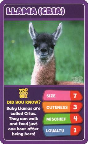 2020 Top Trumps Baby Animals #NNO Llama (Cria) Front