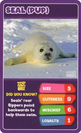 2020 Top Trumps Baby Animals #NNO Seal (Pup) Front