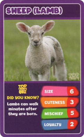 2020 Top Trumps Baby Animals #NNO Sheep (Lamb) Front