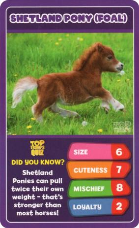 2020 Top Trumps Baby Animals #NNO Shetland Pony (Foal) Front
