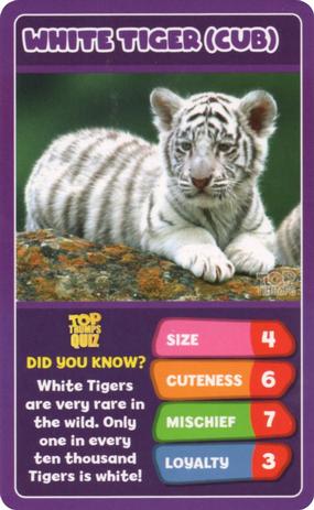 2020 Top Trumps Baby Animals #NNO White Tiger (Cub) Front