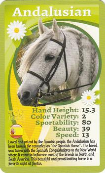 2017 Top Trumps Horses & Ponies #NNO Andalusian Front