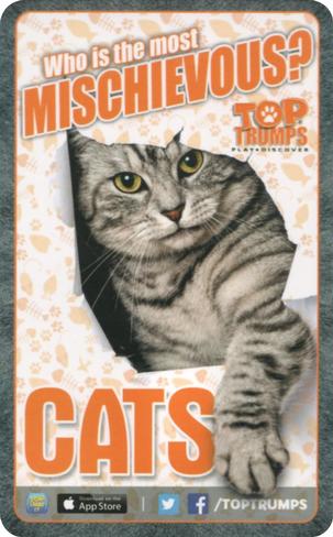 2018 Top Trumps Cats : Who is the most mischievous? #NNO Tiger Back