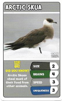 2022 Top Trumps Arctic Animals #NNO Arctic Skua Front
