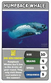 2022 Top Trumps Arctic Animals #NNO Humpback Whale Front