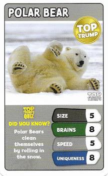 2022 Top Trumps Arctic Animals #NNO Polar Bear Front