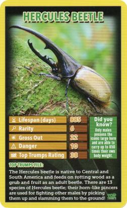 2017 Top Trumps Longleat : Bugs #NNO Hercules Beetle Front