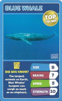 2022 Top Trumps Under the Sea #NNO Blue Whale Front